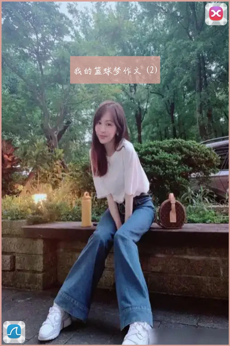 我的篮球梦作文 (2)
