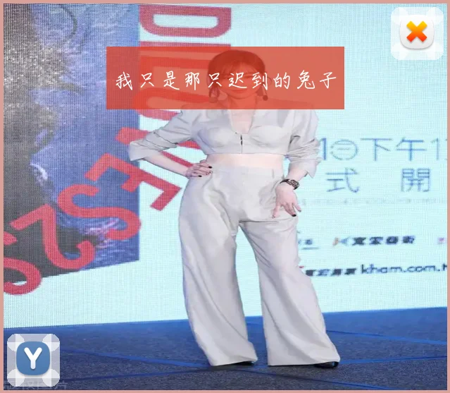 我只是那只迟到的兔子
