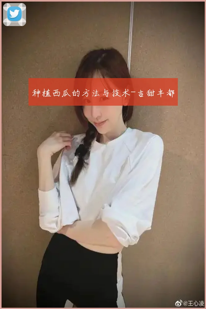 种植西瓜的方法与技术-吉甜丰都