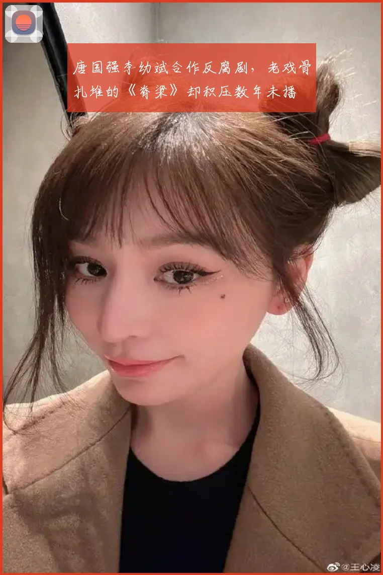 唐国强李幼斌合作反腐剧，老戏骨扎堆的《脊梁》却积压数年未播