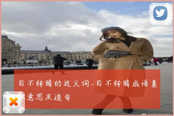 目不转睛的近义词_目不转睛成语基本意思及造句