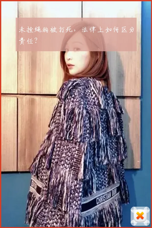 未拴绳狗被打死，法律上如何区分责任？