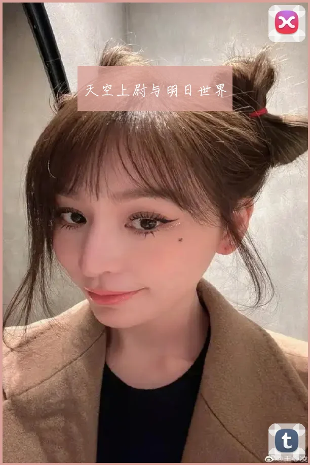 天空上尉与明日世界