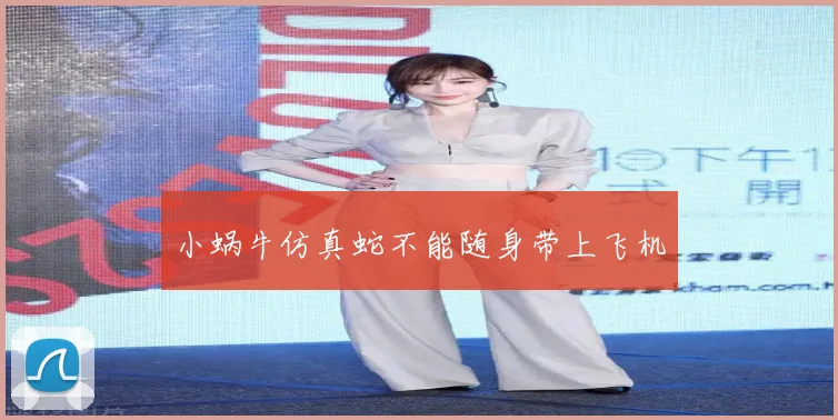小蜗牛仿真蛇不能随身带上飞机