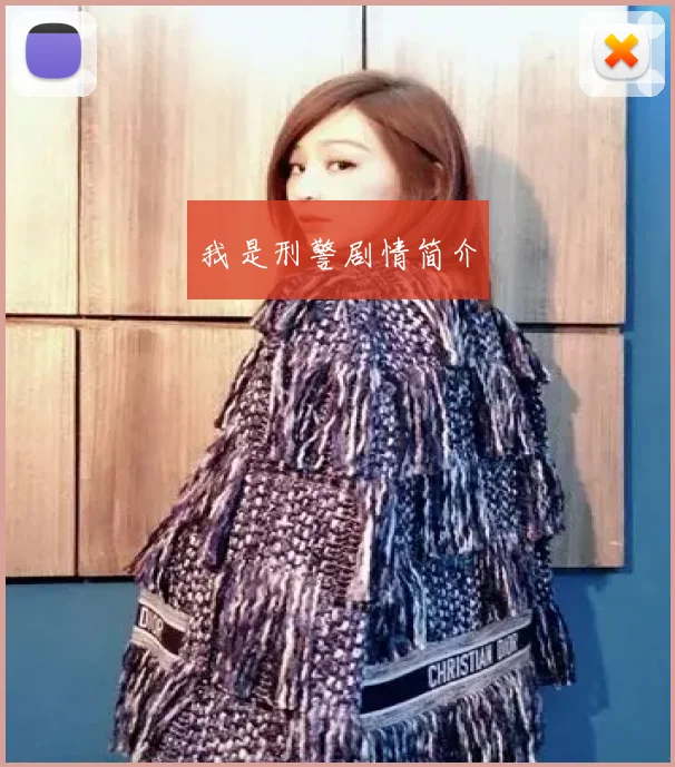 我是刑警剧情简介