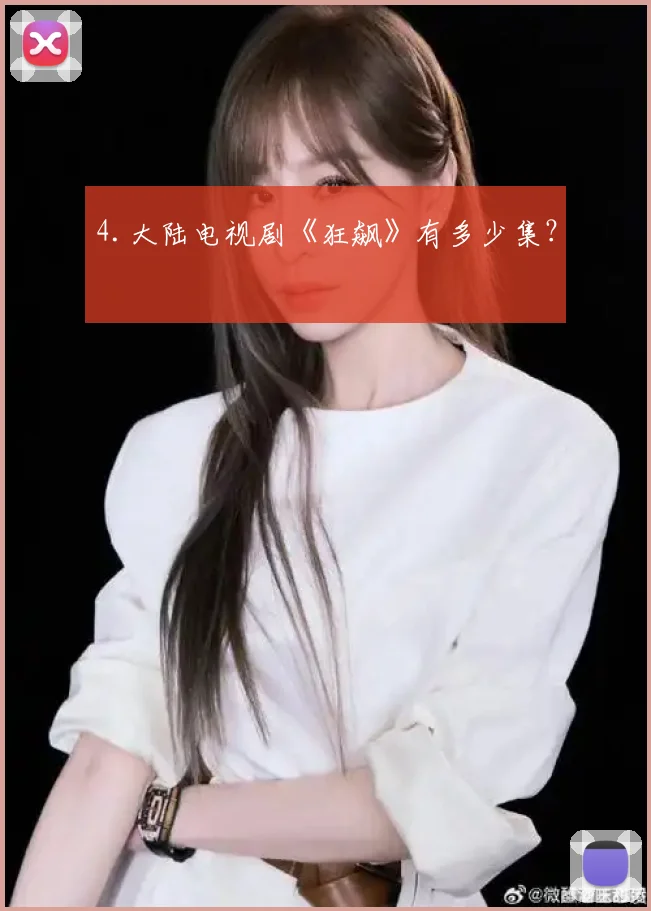4.大陆电视剧《狂飙》有多少集？