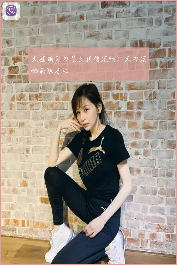 天涯明月刀怎么获得宠物？天刀宠物获取方法
