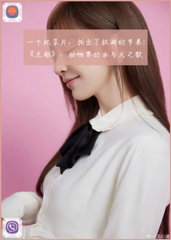 一个纪录片，拍出了权游的节奏：《王朝》，动物界的冰与火之歌