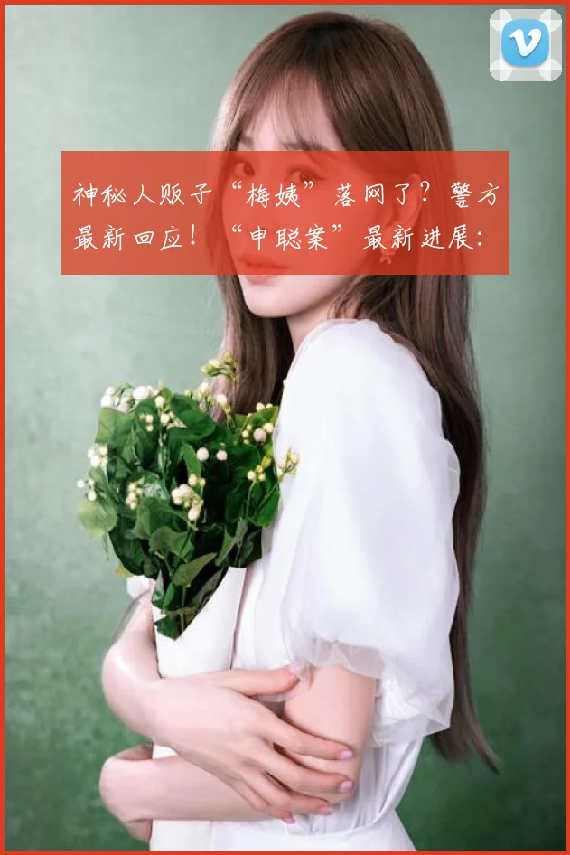神秘人贩子“梅姨”落网了？警方最新回应！“申聪案”最新进展：两案犯本周五将被执行死刑