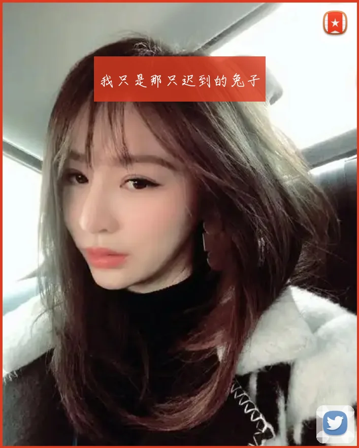 我只是那只迟到的兔子