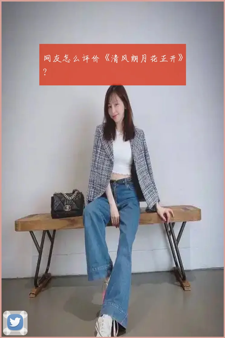 网友怎么评价《清风朗月花正开》？