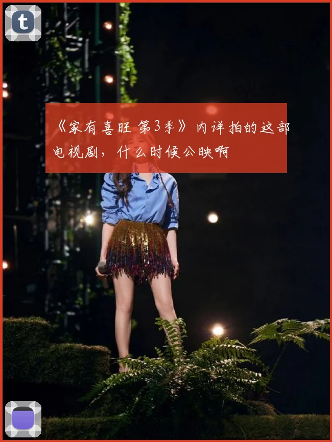 《家有喜旺 第3季》内详拍的这部电视剧，什么时候公映啊