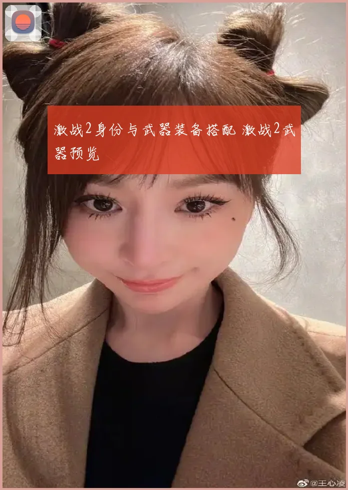 激战2身份与武器装备搭配 激战2武器预览