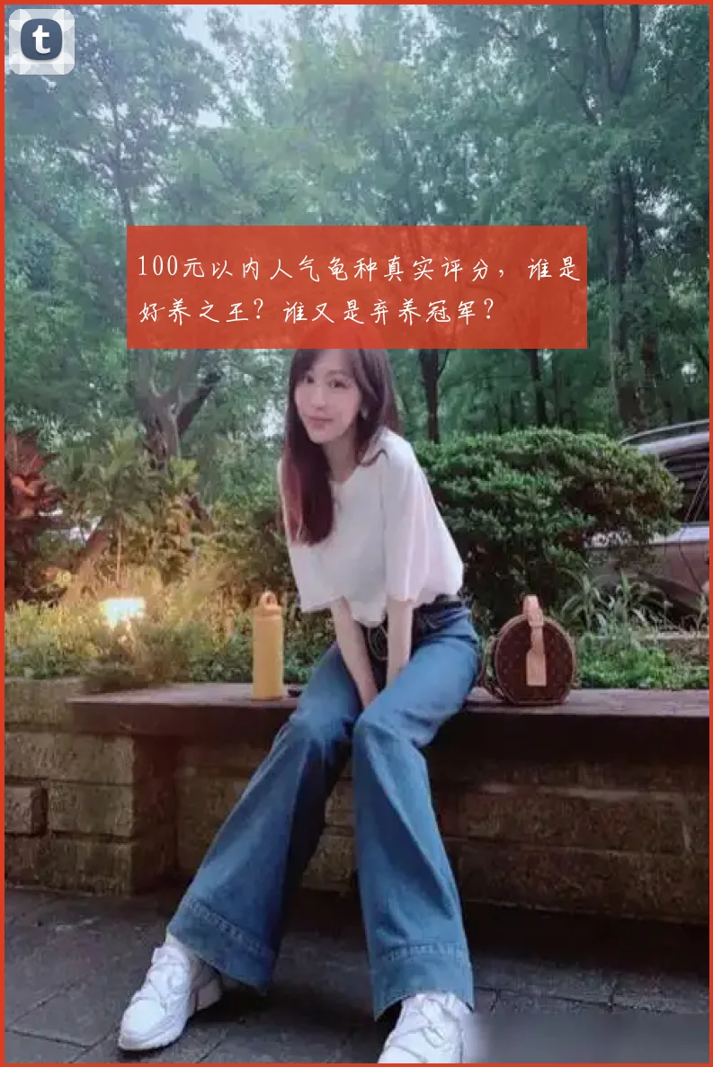 100元以内人气龟种真实评分，谁是好养之王？谁又是弃养冠军？