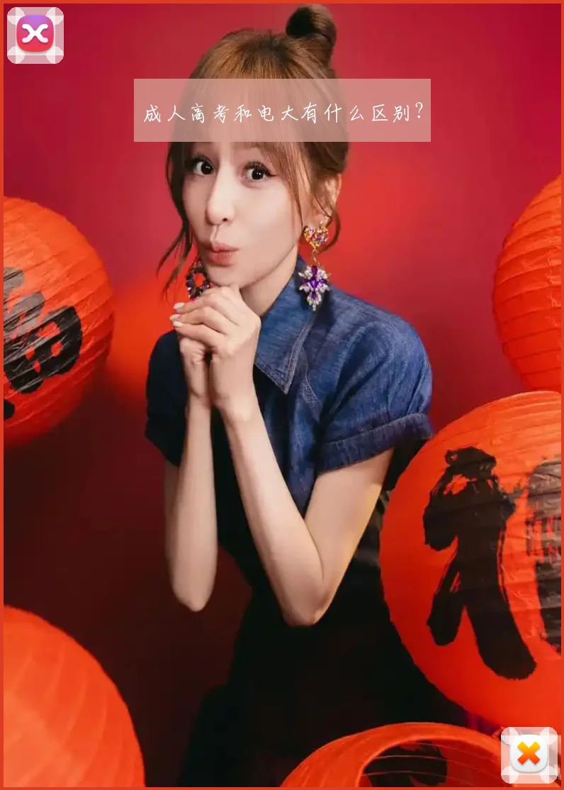 成人高考和电大有什么区别？