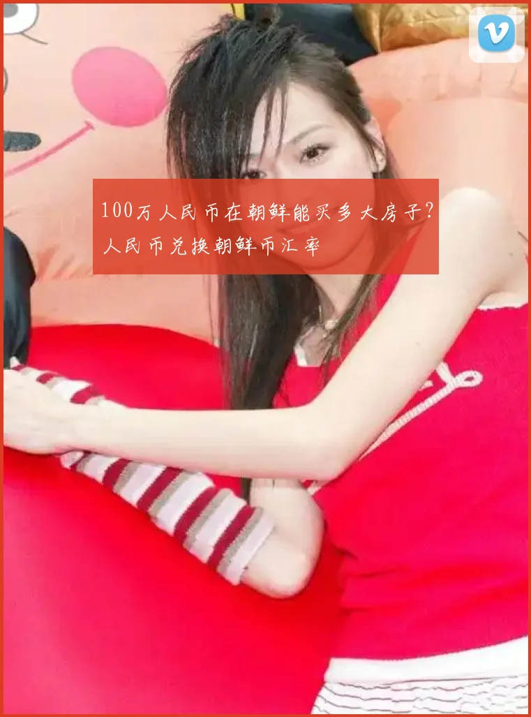 100万人民币在朝鲜能买多大房子？人民币兑换朝鲜币汇率