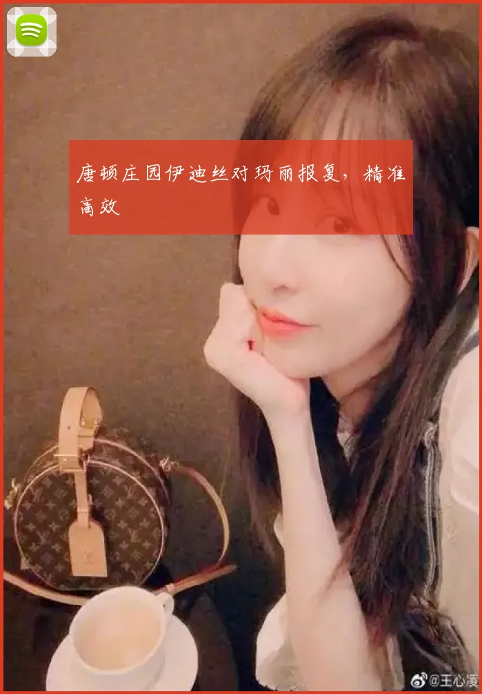 唐顿庄园伊迪丝对玛丽报复，精准高效
