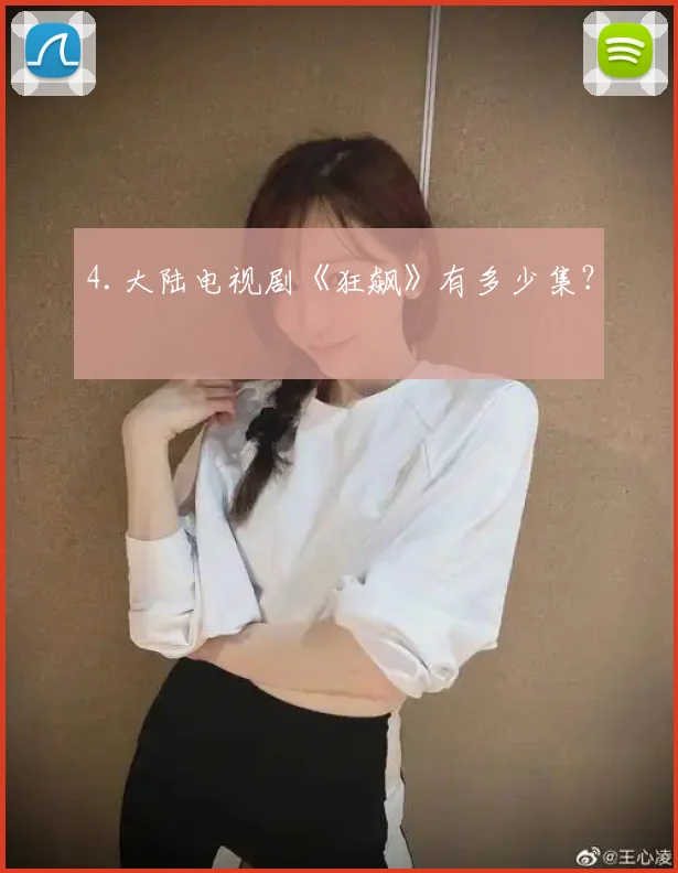 4.大陆电视剧《狂飙》有多少集？