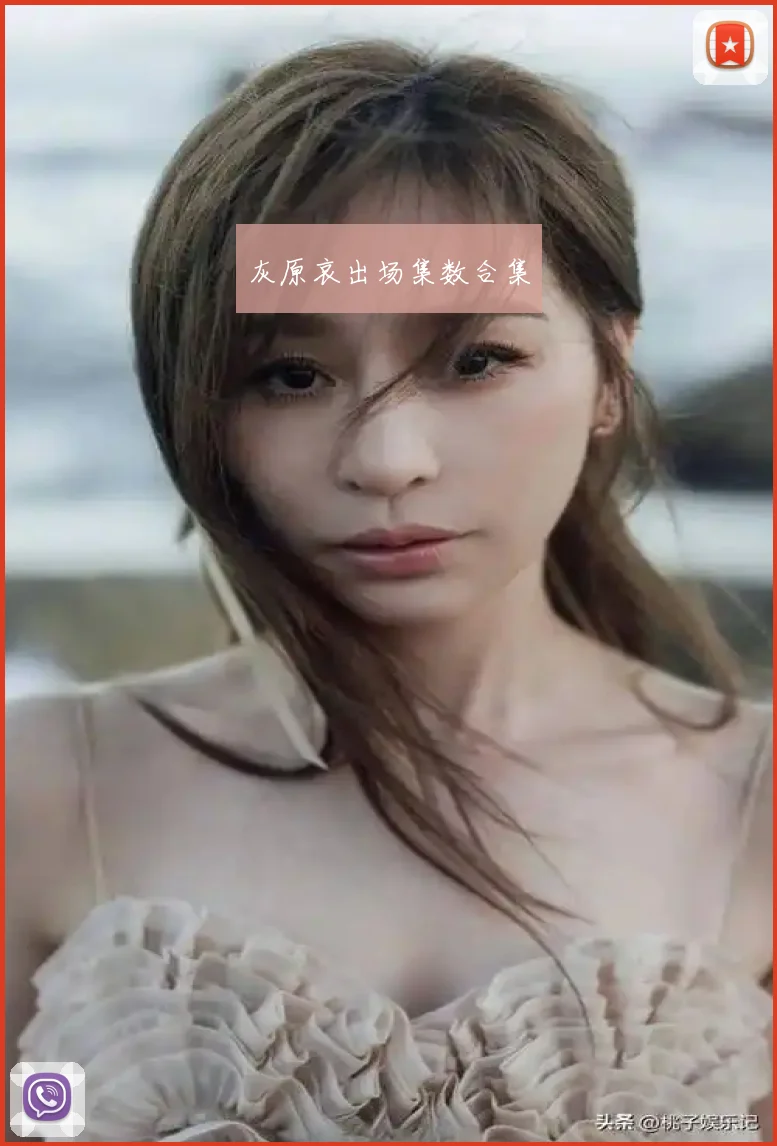 灰原哀出场集数合集