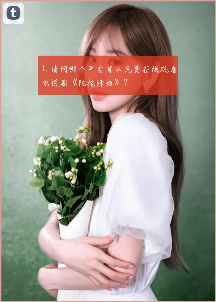1.请问哪个平台可以免费在线观看电视剧《陀枪师姐》？