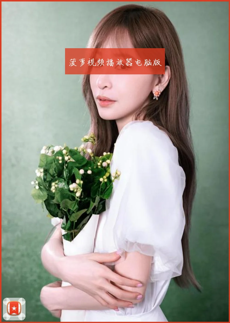 菠萝视频播放器电脑版