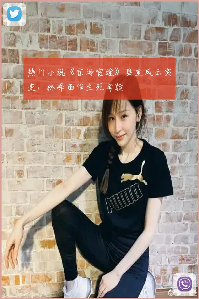 热门小说《宦海官途》县里风云突变，林峰面临生死考验
