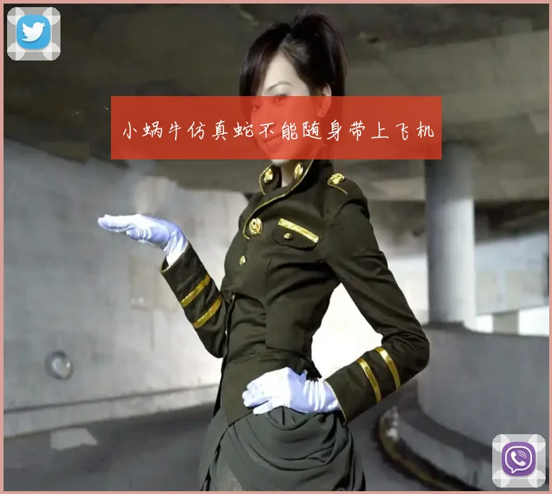 小蜗牛仿真蛇不能随身带上飞机