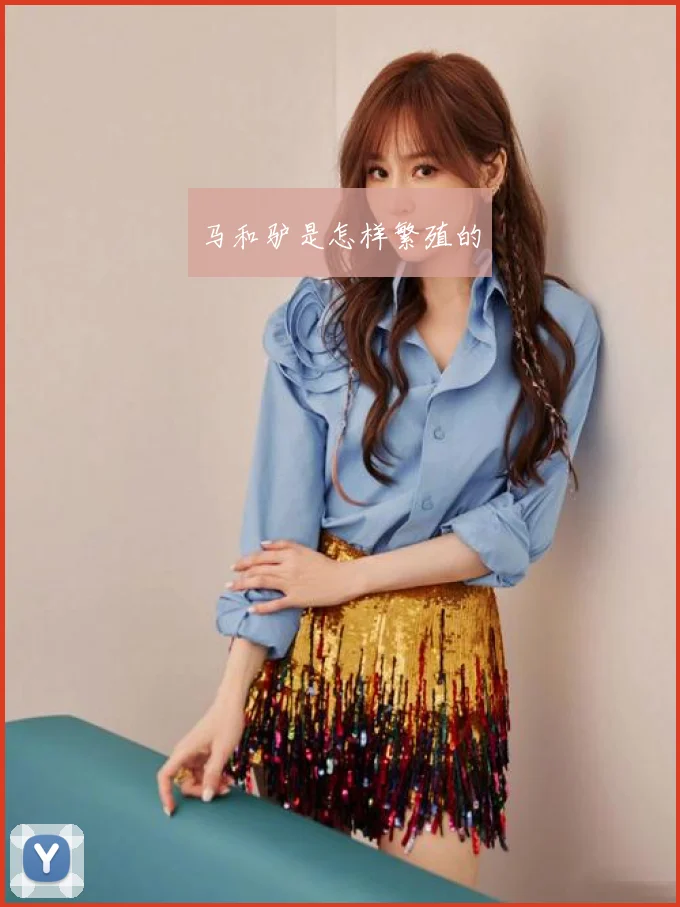 马和驴是怎样繁殖的
