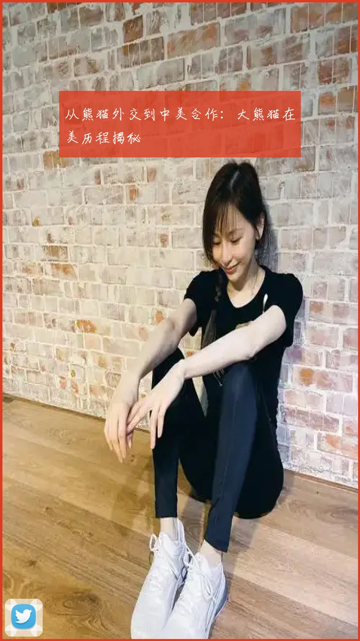 从熊猫外交到中美合作：大熊猫在美历程揭秘