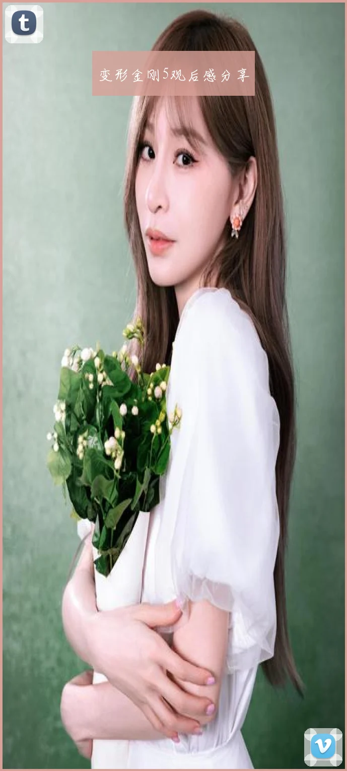 变形金刚5观后感分享